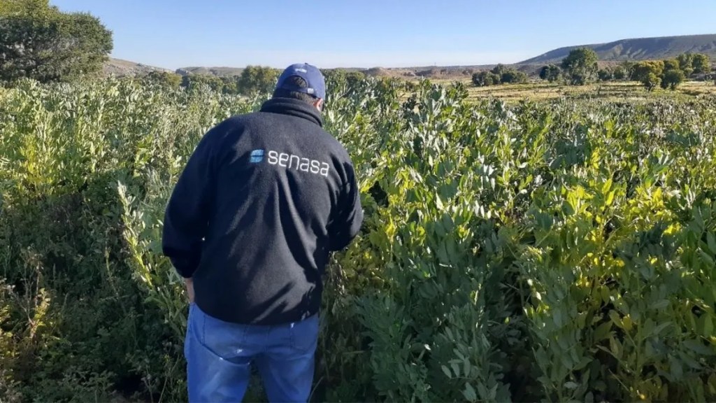 El campo pampeano cuestionó un proyecto que propone crear un organismo paralelo al&nbsp;SENASA
